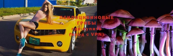 бошки Алзамай