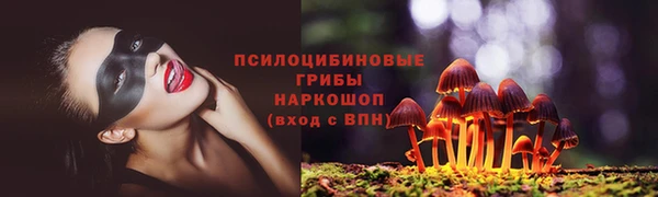 бошки Алзамай